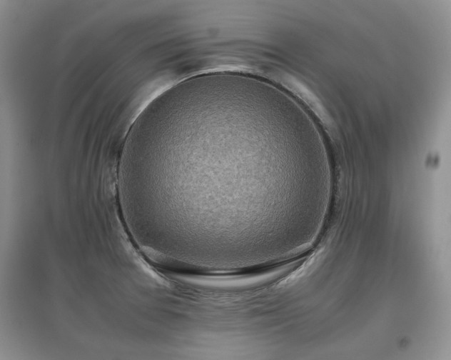 X0000097601377200803071421