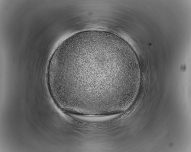 X0000097601379200803071421