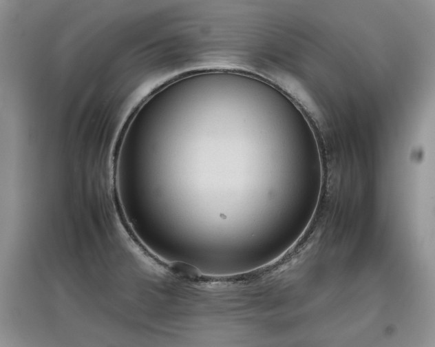 X0000097601380200803071421