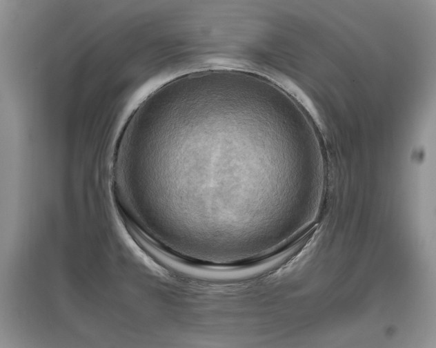 X0000097601381200803071421