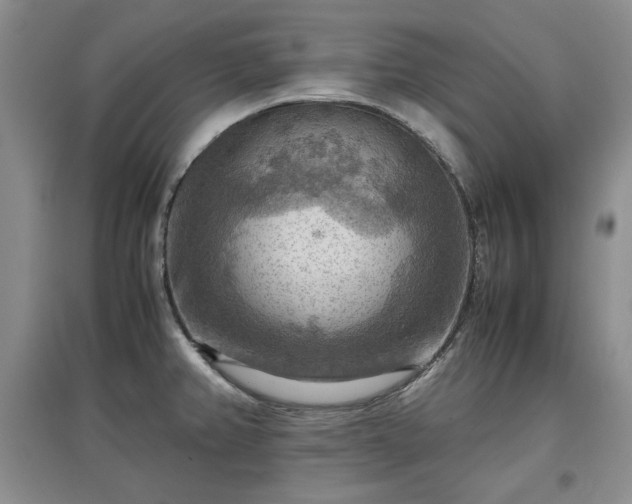 X0000097601382200803071421