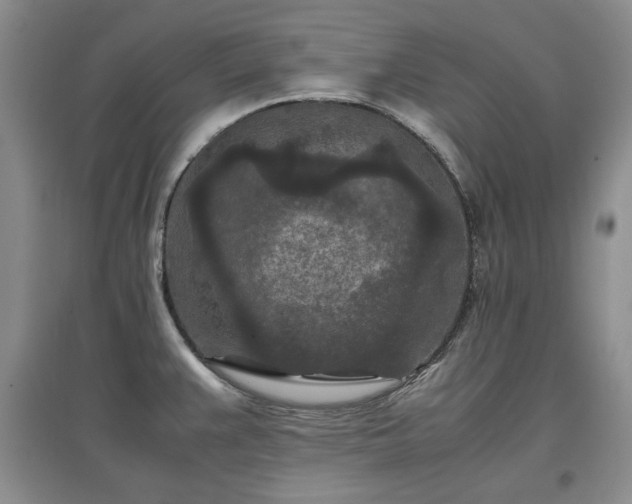X0000097601383200803071421