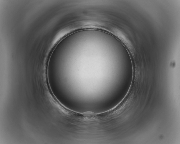 X0000097601384200803071421