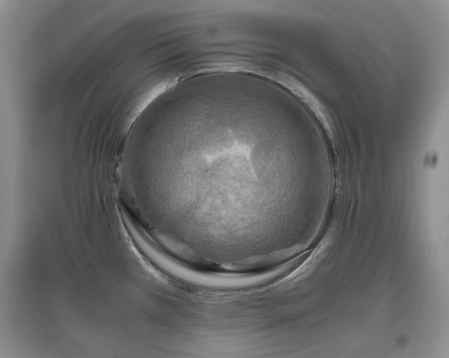 X0000097601385200803071421
