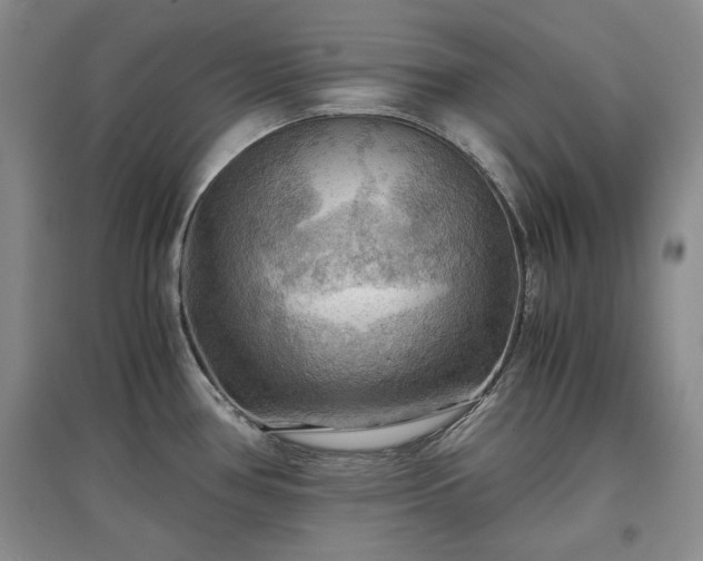 X0000097601386200803071421