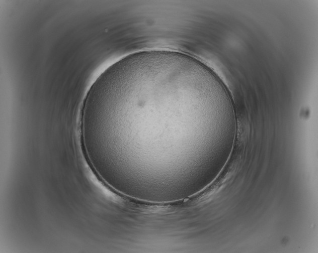 X0000097601387200803071421