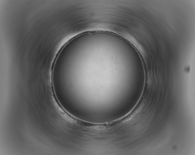 X0000097601388200803071421