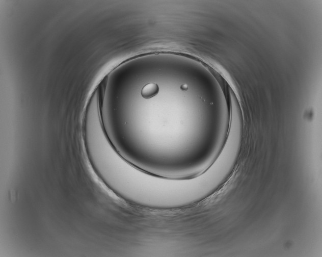 X0000097601389200803071421