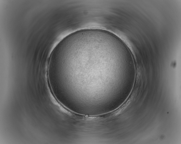 X0000097601390200803071421