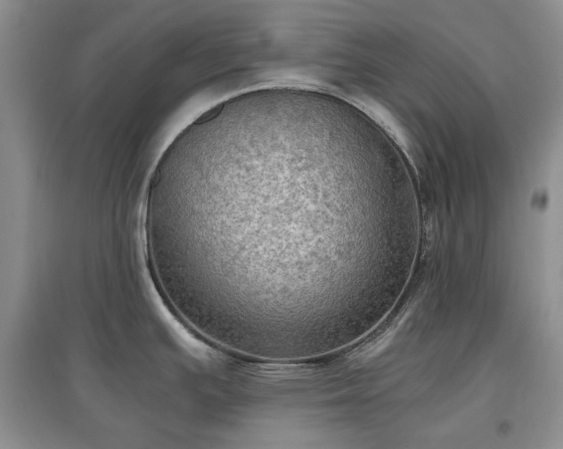 X0000097601391200803071421