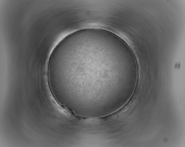 X0000097601392200803071421
