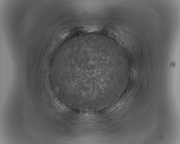 X0000097601393200803071420
