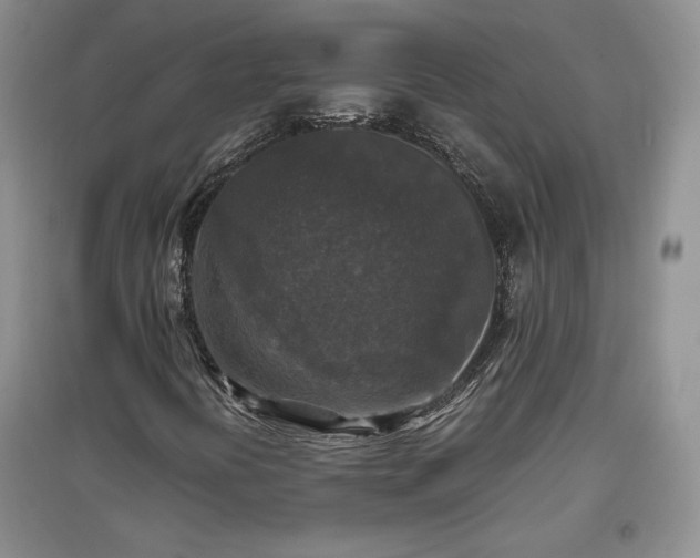 X0000097601394200803071420