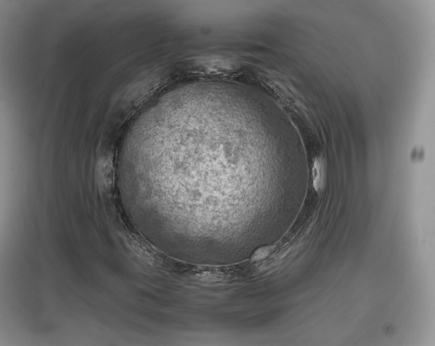 X0000097601395200803071420