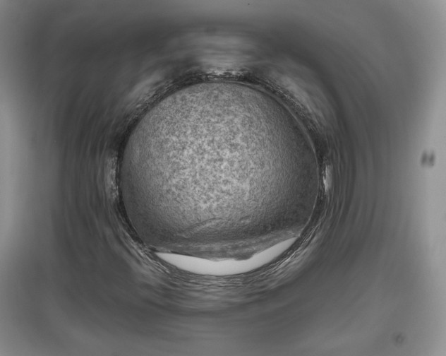 X0000097601396200803071420