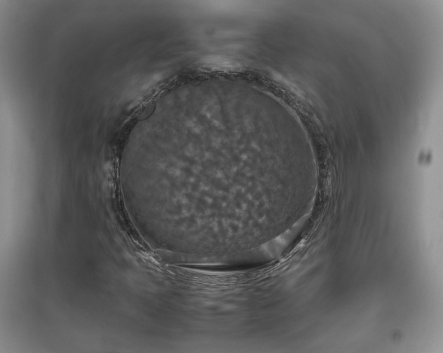 X0000097601397200803071420