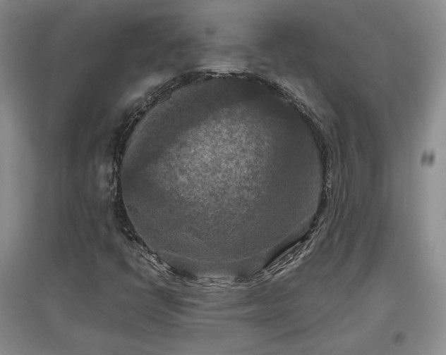 X0000097601398200803071420