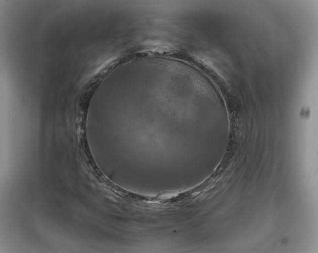 X0000097601399200803071420