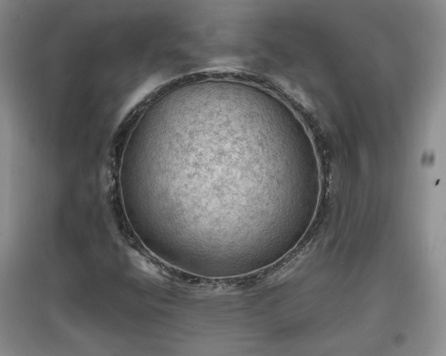X0000097601400200803071420