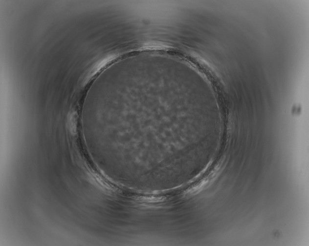 X0000097601401200803071420