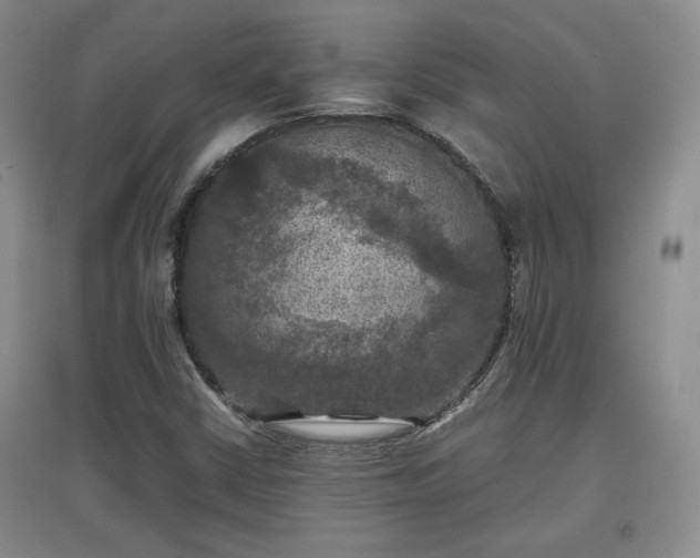 X0000097601402200803071420