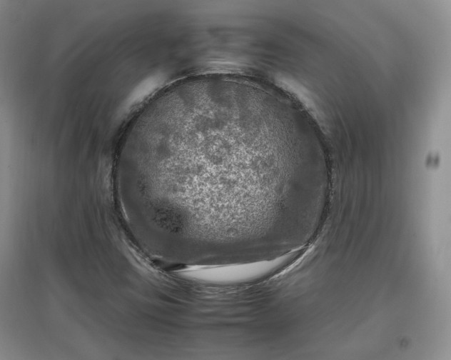 X0000097601403200803071420