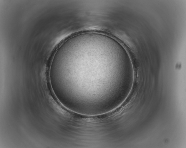 X0000097601404200803071420