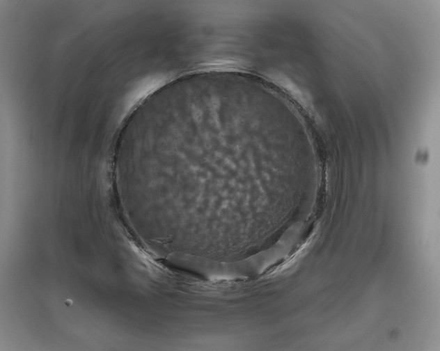 X0000097601405200803071420