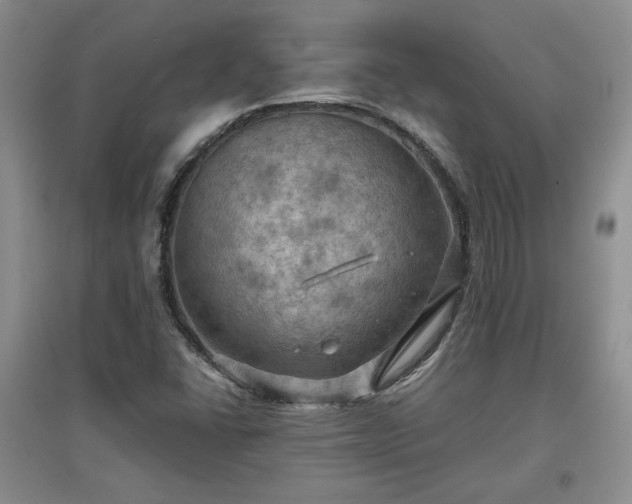 X0000097601406200803071420
