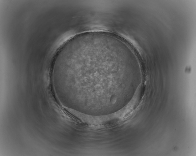 X0000097601407200803071420