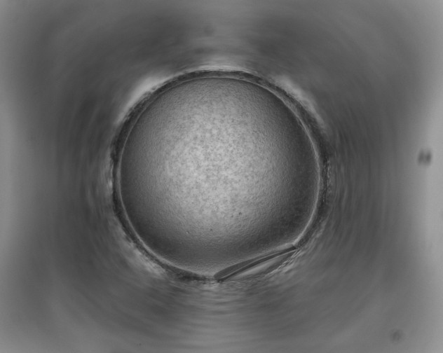 X0000097601408200803071420