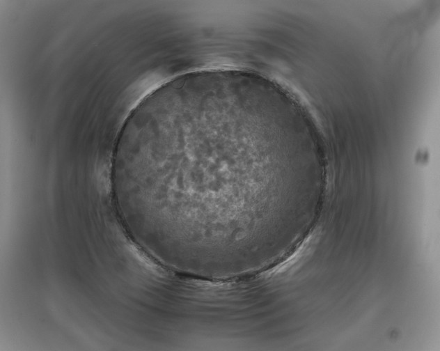 X0000097601409200803071420