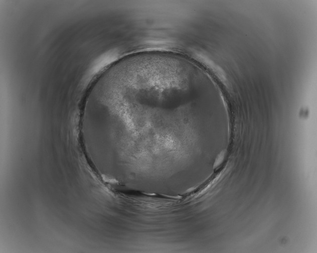 X0000097601411200803071420