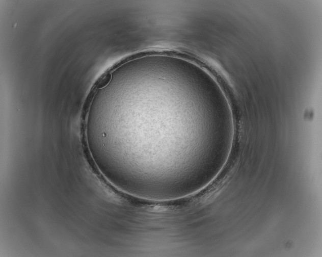 X0000097601412200803071420