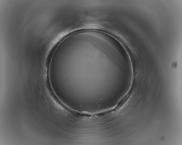 X0000097601414200803071420