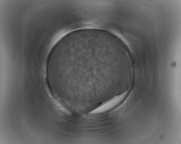 X0000097601415200803071420