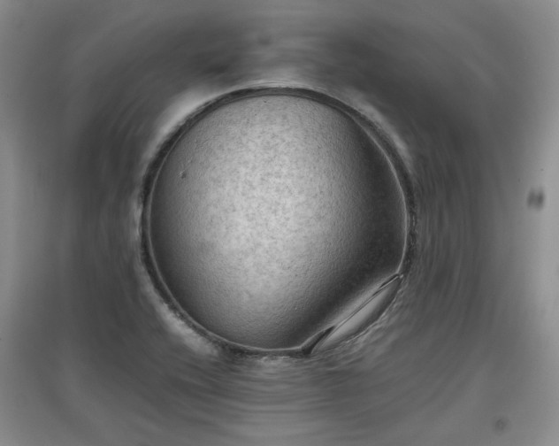 X0000097601416200803071420