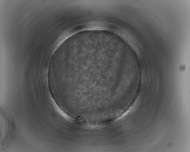 X0000097601417200803071420