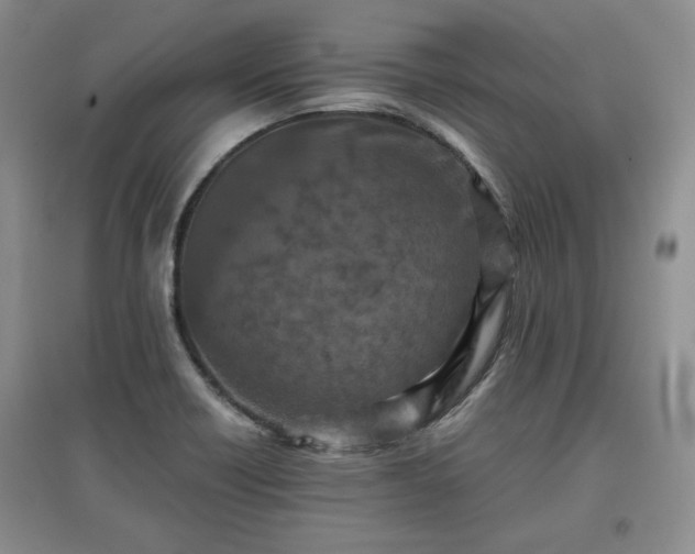 X0000097601418200803071420