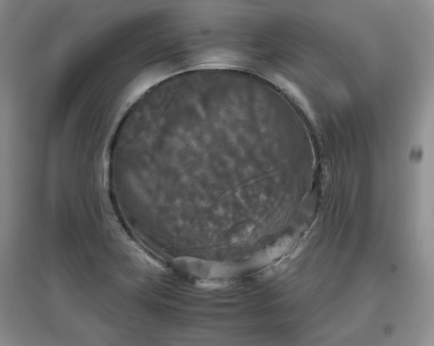 X0000097601419200803071420