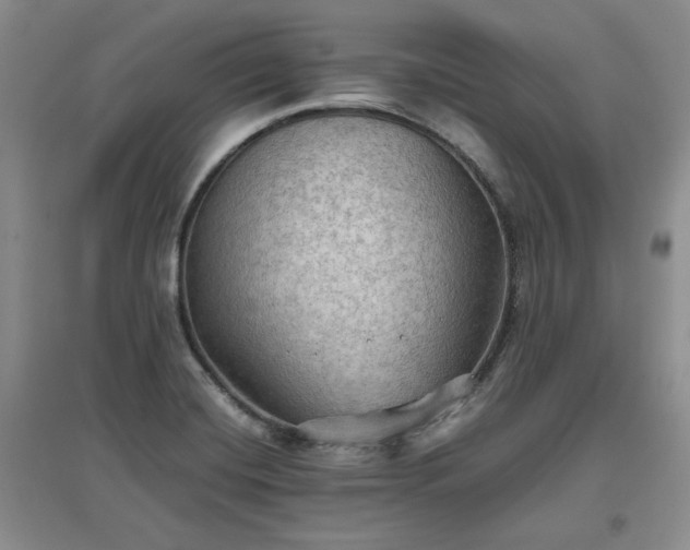 X0000097601420200803071420