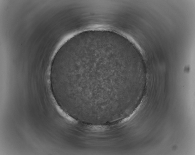 X0000097601421200803071420