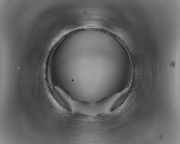 X0000097601422200803071420