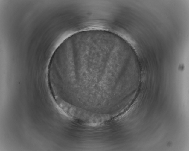 X0000097601423200803071420