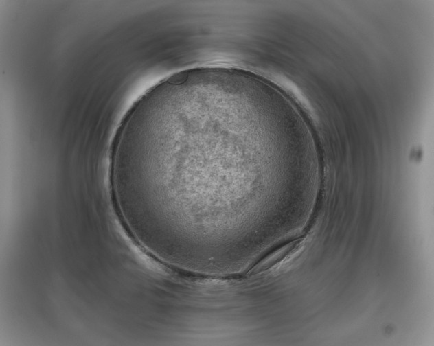 X0000097601424200803071420