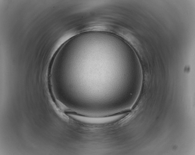 X0000097601426200803071420