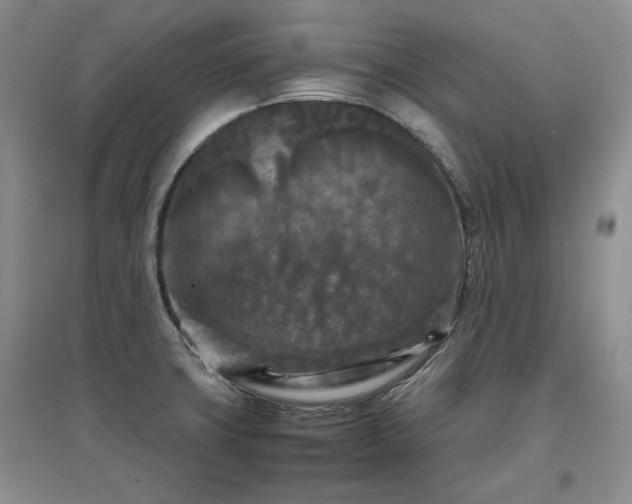 X0000097601427200803071420