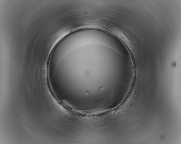 X0000097601428200803071420