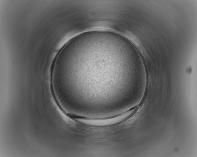 X0000097601430200803071420