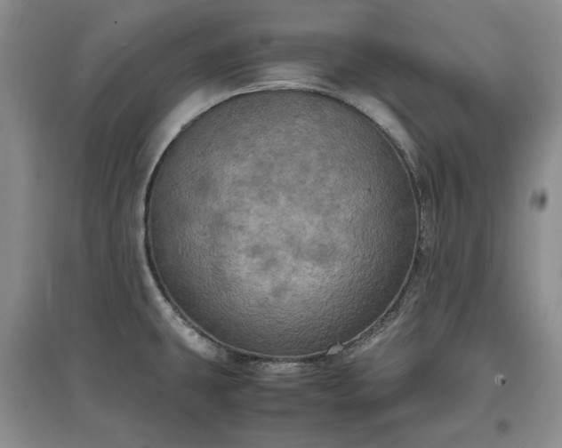 X0000097601431200803071421